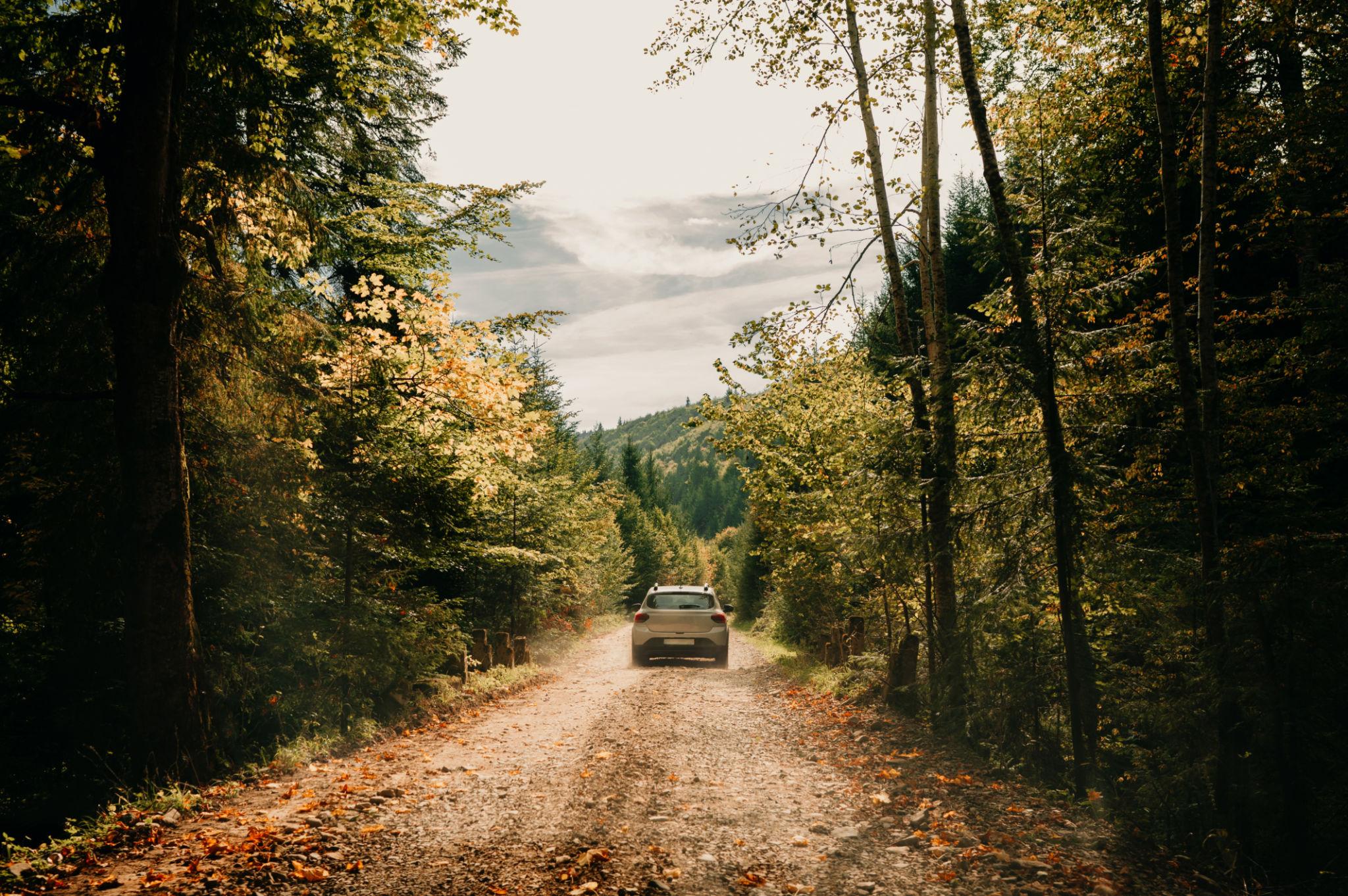 trasee auto din Moldova